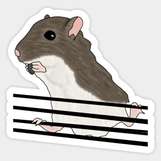 Cute brown gerbil eating sunflower seeds Sticker